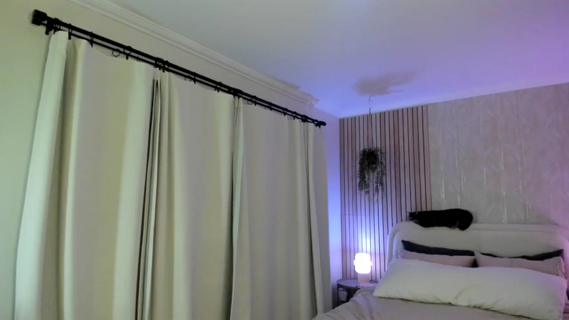 Gallery image thumbnail from eggytiff's myfreecams stream on, 04/21/2024, 06:18 image 5 of 20