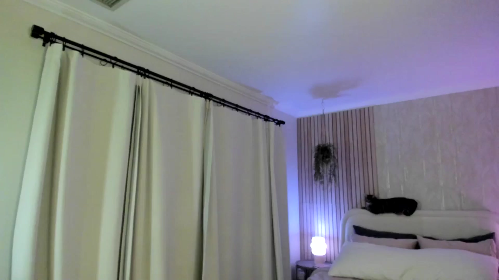 Gallery image thumbnail from eggytiff's myfreecams stream on, 04/21/2024, 06:18 image 1 of 20