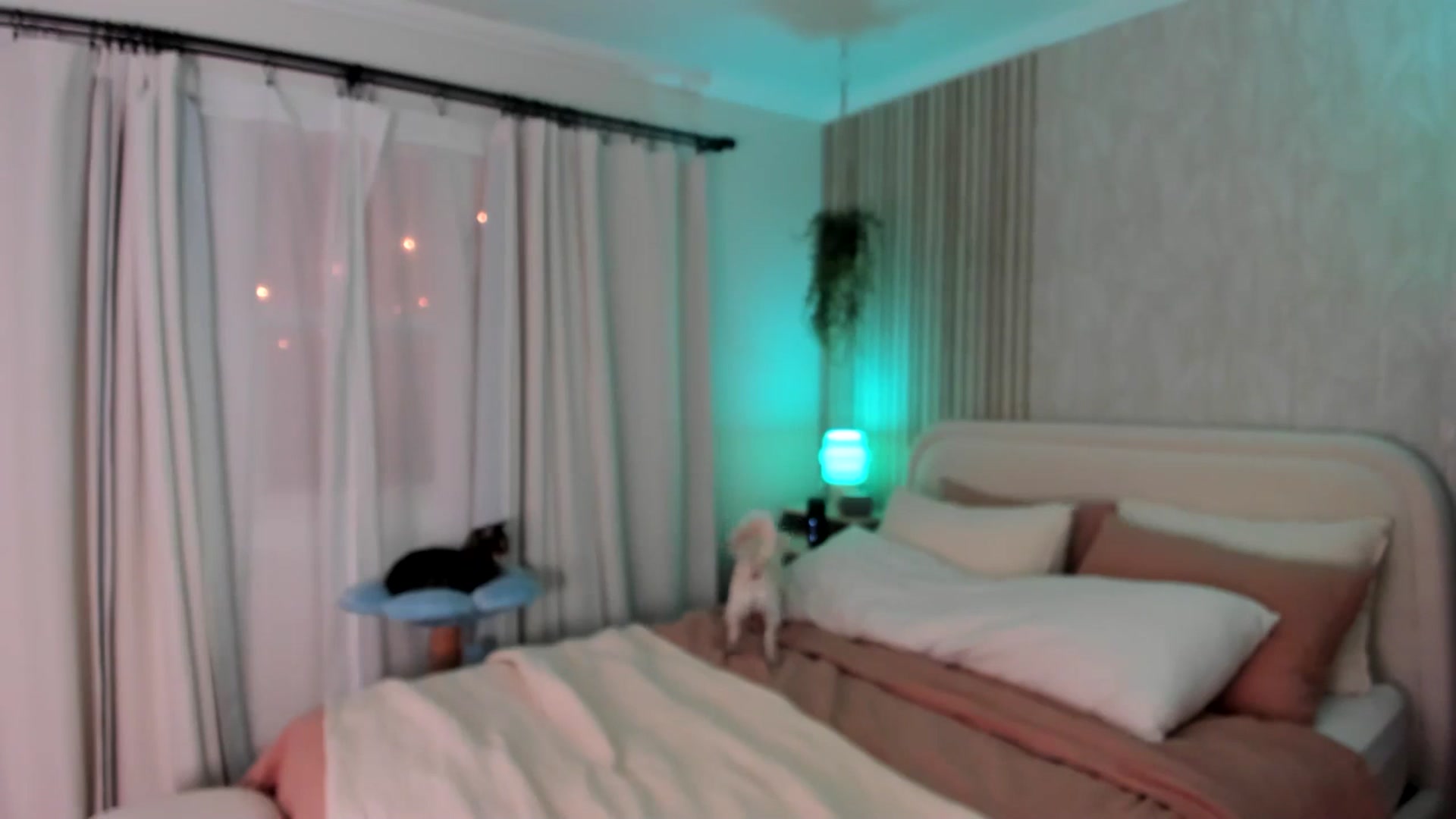 Gallery image thumbnail from eggytiff's myfreecams stream on, 12/12/2024, 05:50 image 3 of 20