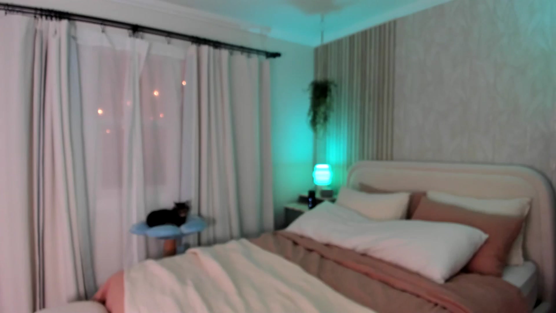 Gallery image thumbnail from eggytiff's myfreecams stream on, 12/12/2024, 05:50 image 1 of 20
