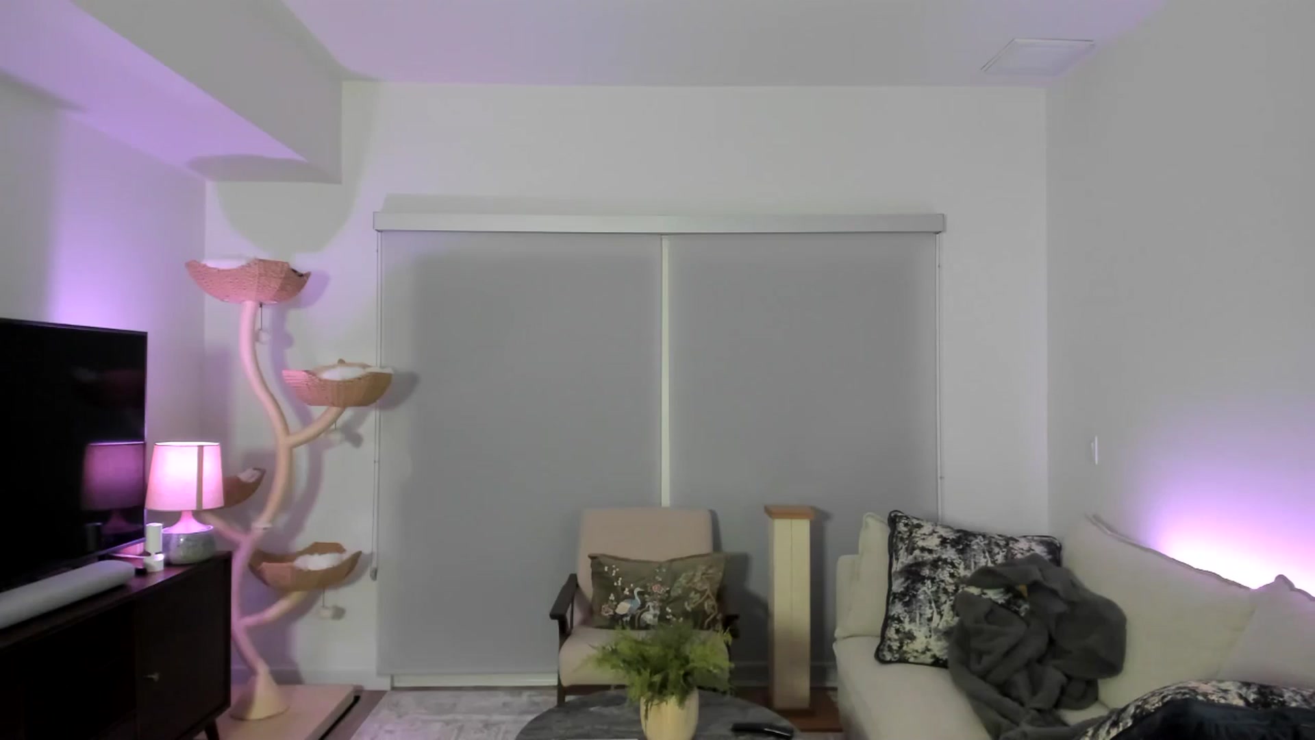 Gallery image thumbnail from eggytiff's myfreecams stream on, 02/08/2026, 06:47 image 9 of 20