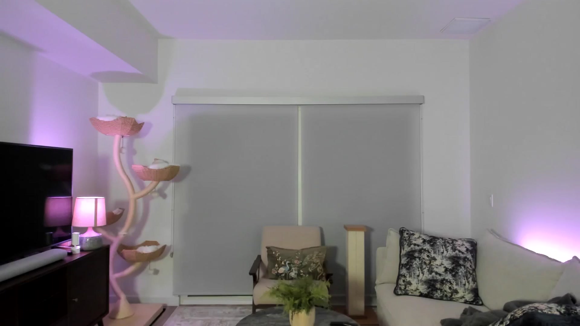 Gallery image thumbnail from eggytiff's myfreecams stream on, 02/08/2026, 06:47 image 18 of 20