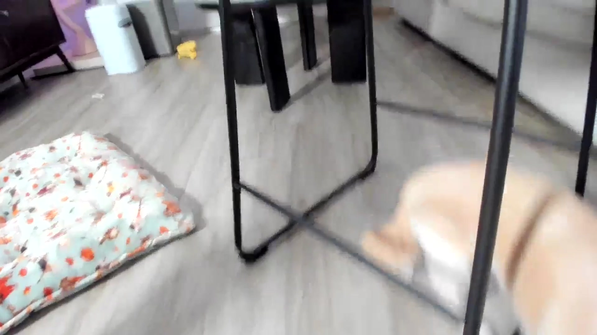Gallery image thumbnail from eggytiff's myfreecams stream on, 03/12/2026, 04:07 image 7 of 20