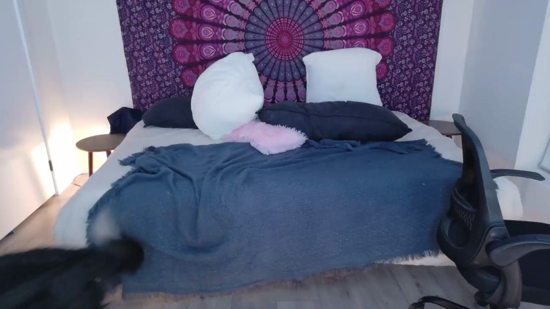 Gallery image thumbnail from eh1_Scarlett's myfreecams stream on, 01/22/2026, 09:01 image 10 of 20