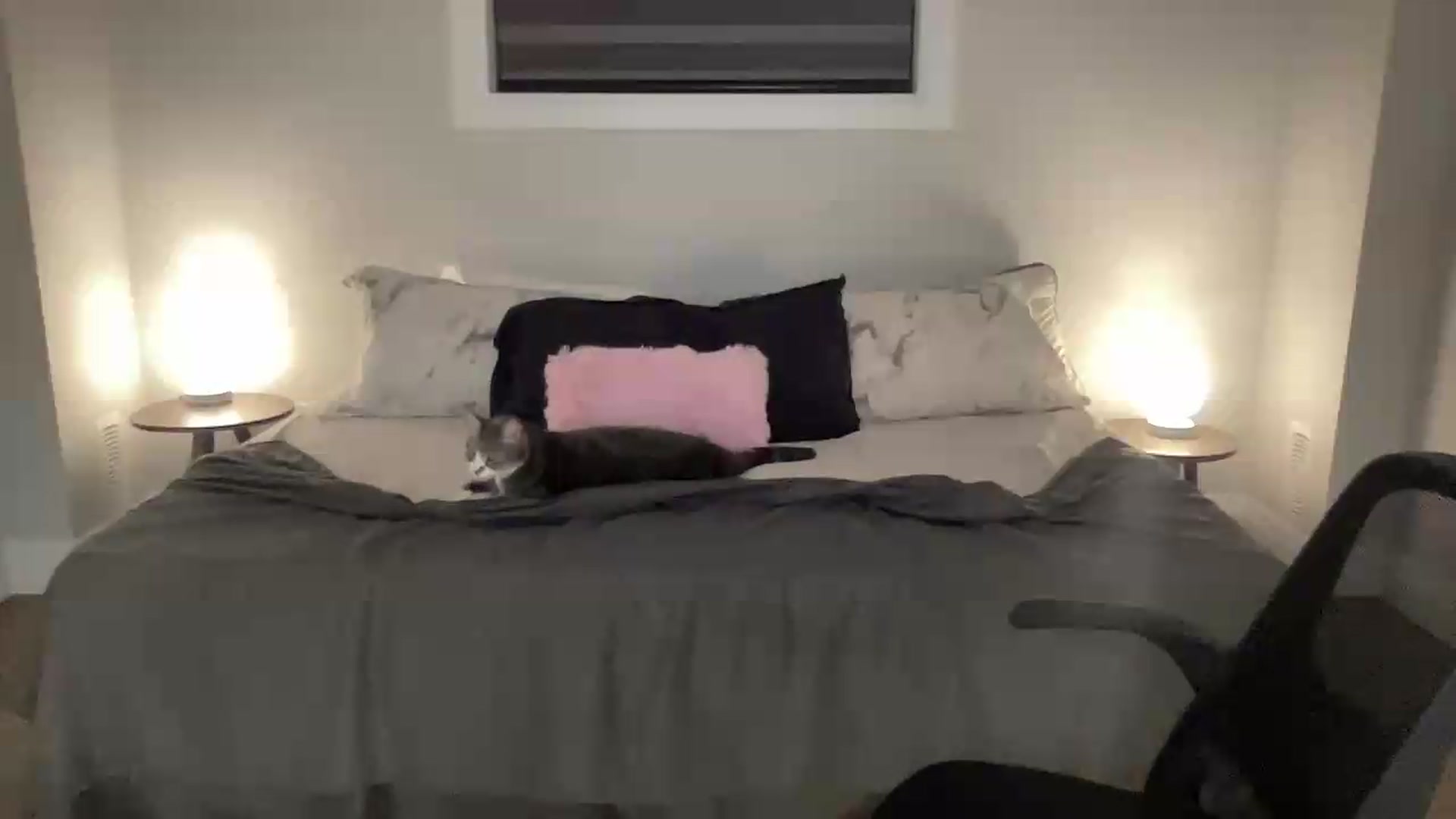 Gallery image thumbnail from eh1_Scarlett's myfreecams stream on, 05/17/2026, 04:52 image 5 of 20