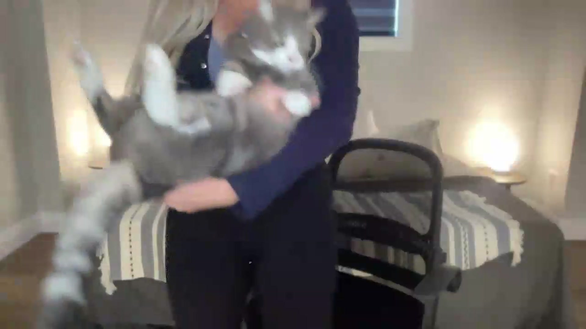 Gallery image thumbnail from eh1_Scarlett's myfreecams stream on, 06/29/2026, 24:52 image 4 of 20