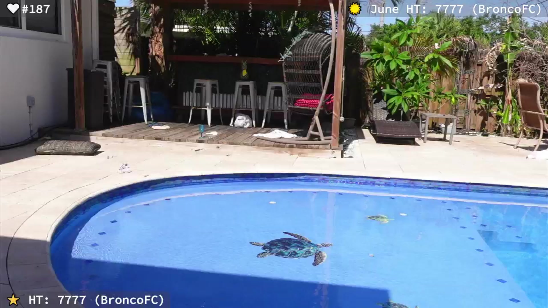 Gallery image thumbnail from el_xo's myfreecams stream on, 06/14/2025, 21:16 image 8 of 20