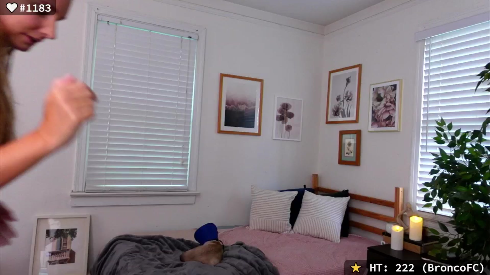 Gallery image thumbnail from el_xo's myfreecams stream on, 08/09/2025, 20:40 image 11 of 20