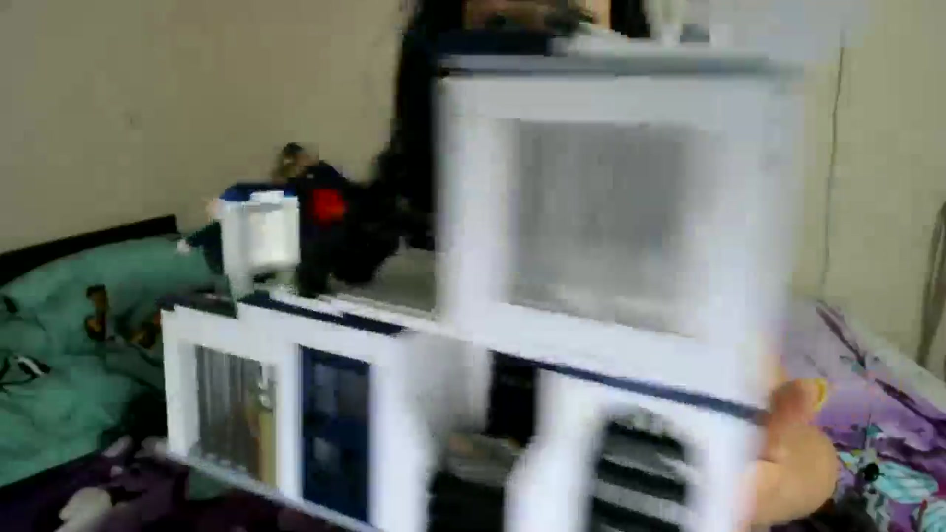 Gallery image thumbnail from elisha4ubbb's myfreecams stream on, 08/10/2024, 03:38 image 7 of 20