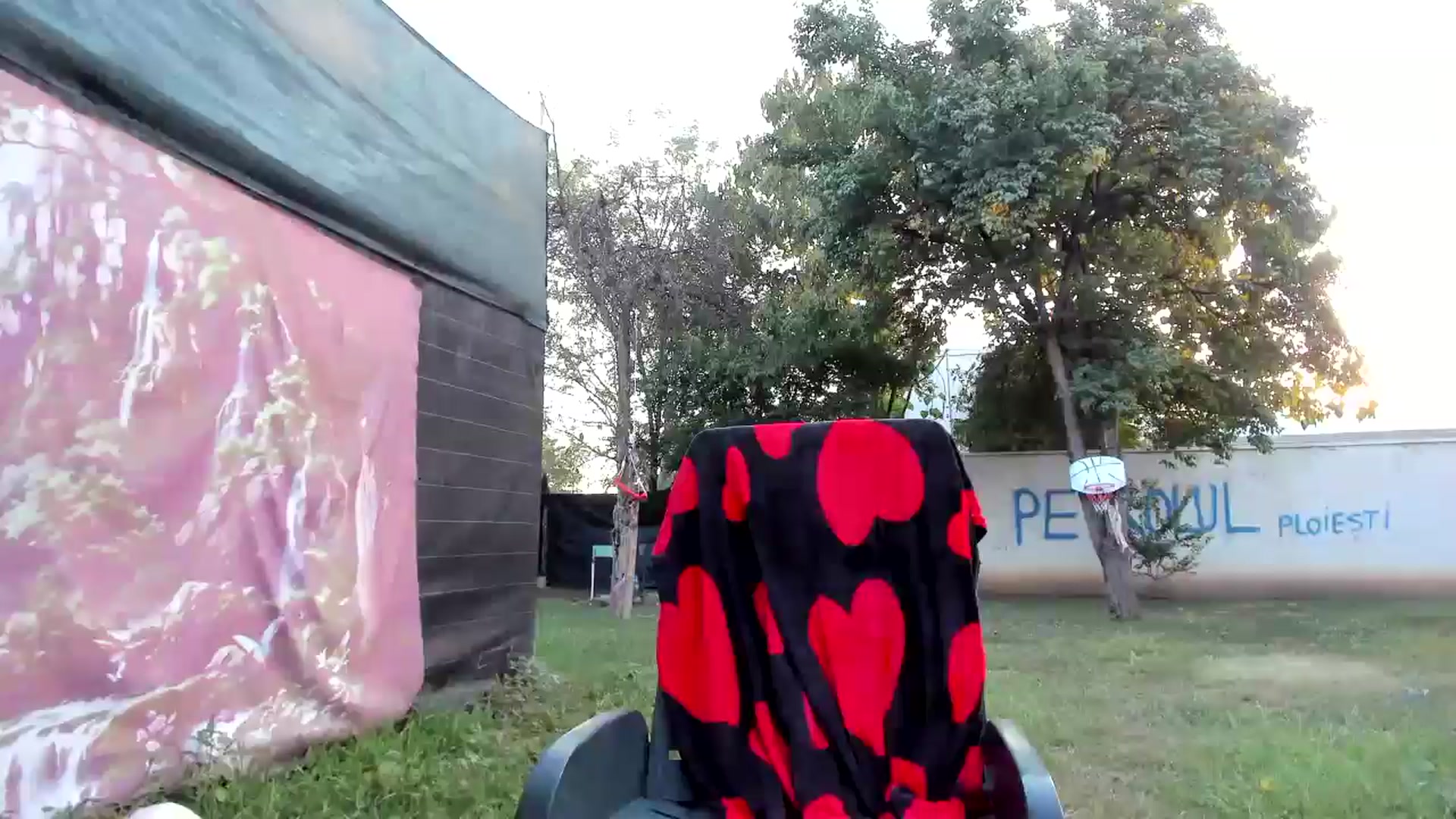 Gallery image thumbnail from elisha4ubbb's myfreecams stream on, 08/17/2024, 04:00 image 4 of 20