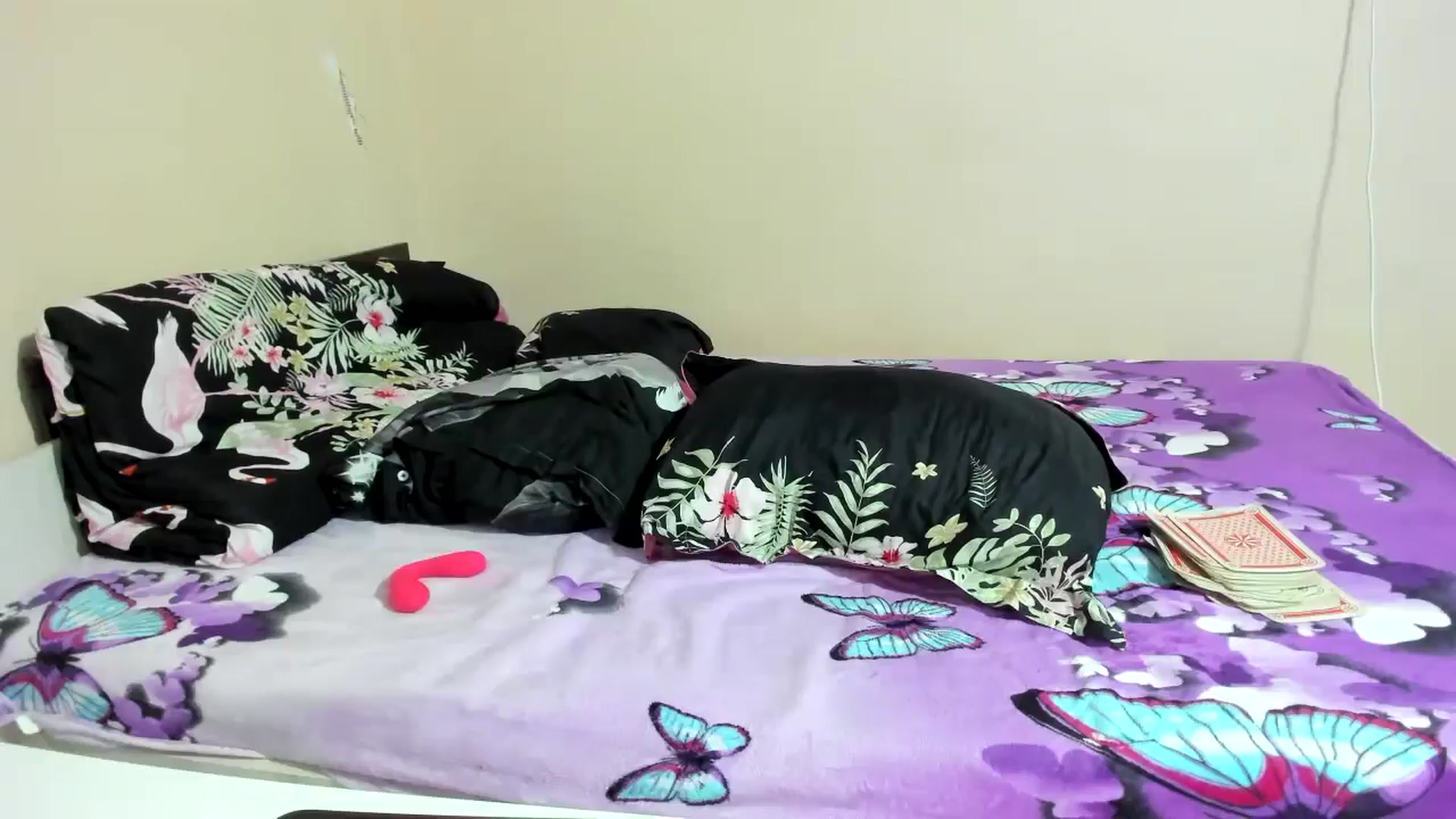 Gallery image thumbnail from elisha4ubbb's myfreecams stream on, 09/15/2024, 03:21 image 19 of 20
