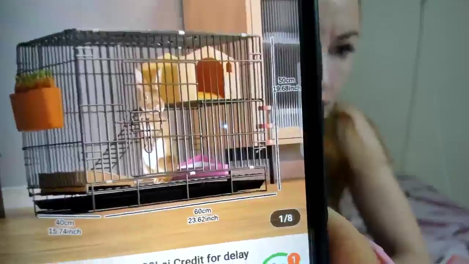 Gallery image thumbnail from elisha4ubbb's myfreecams stream on, 04/15/2025, 03:18 image 18 of 20