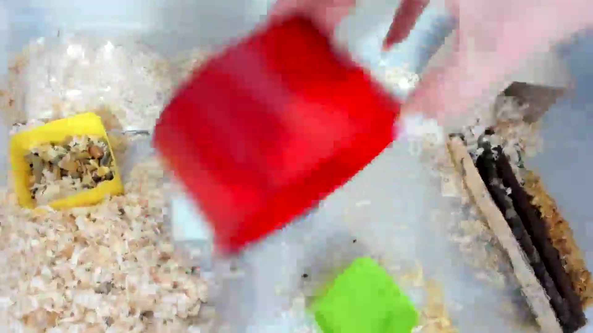 Gallery image thumbnail from elisha4ubbb's myfreecams stream on, 08/05/2025, 03:27 image 2 of 20