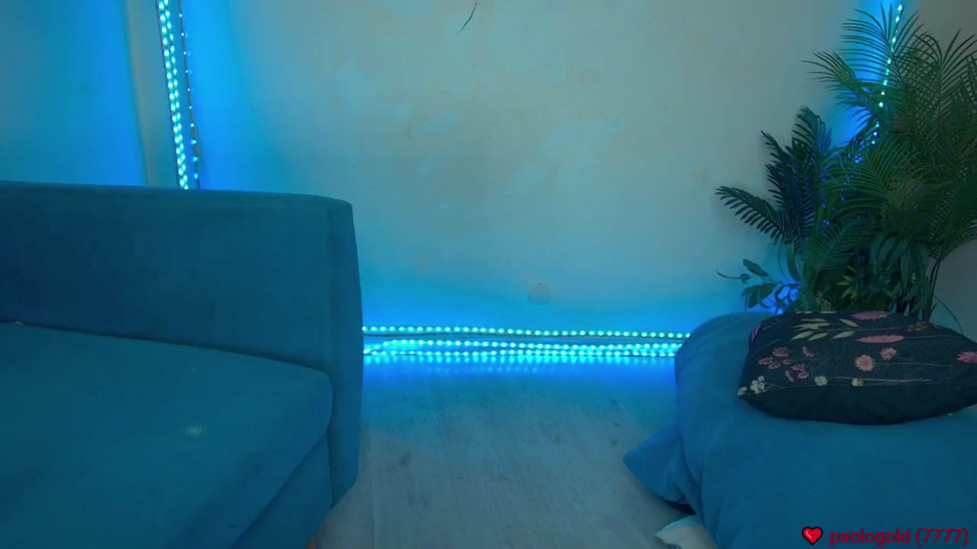 Gallery image thumbnail from elissa25_'s myfreecams stream on, 09/07/2025, 06:59 image 16 of 20