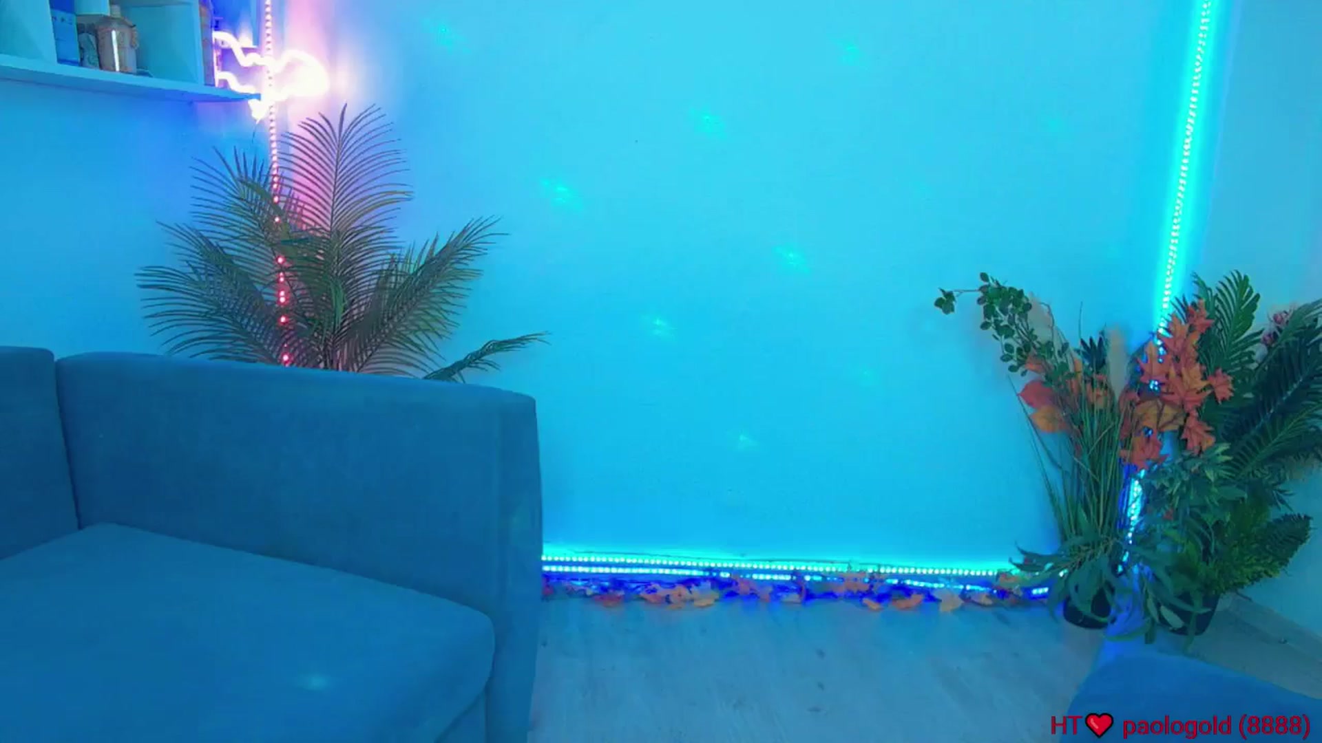 Gallery image thumbnail from elissa25_'s myfreecams stream on, 10/12/2025, 05:08 image 11 of 20