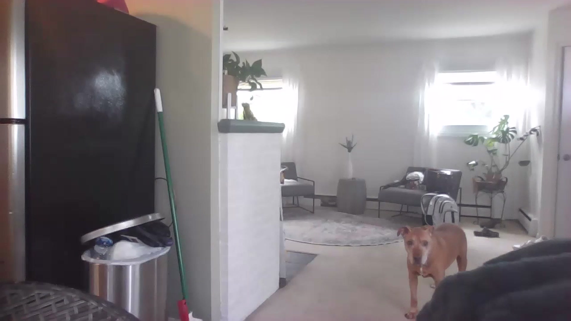 Gallery image thumbnail from ellegirlie's myfreecams stream on, 07/18/2023, 17:37 image 14 of 20