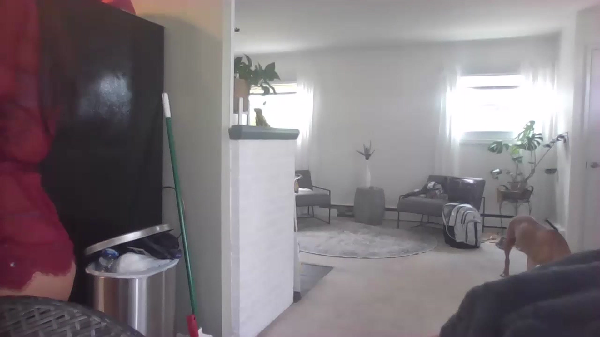 Gallery image thumbnail from ellegirlie's myfreecams stream on, 07/18/2023, 17:37 image 16 of 20