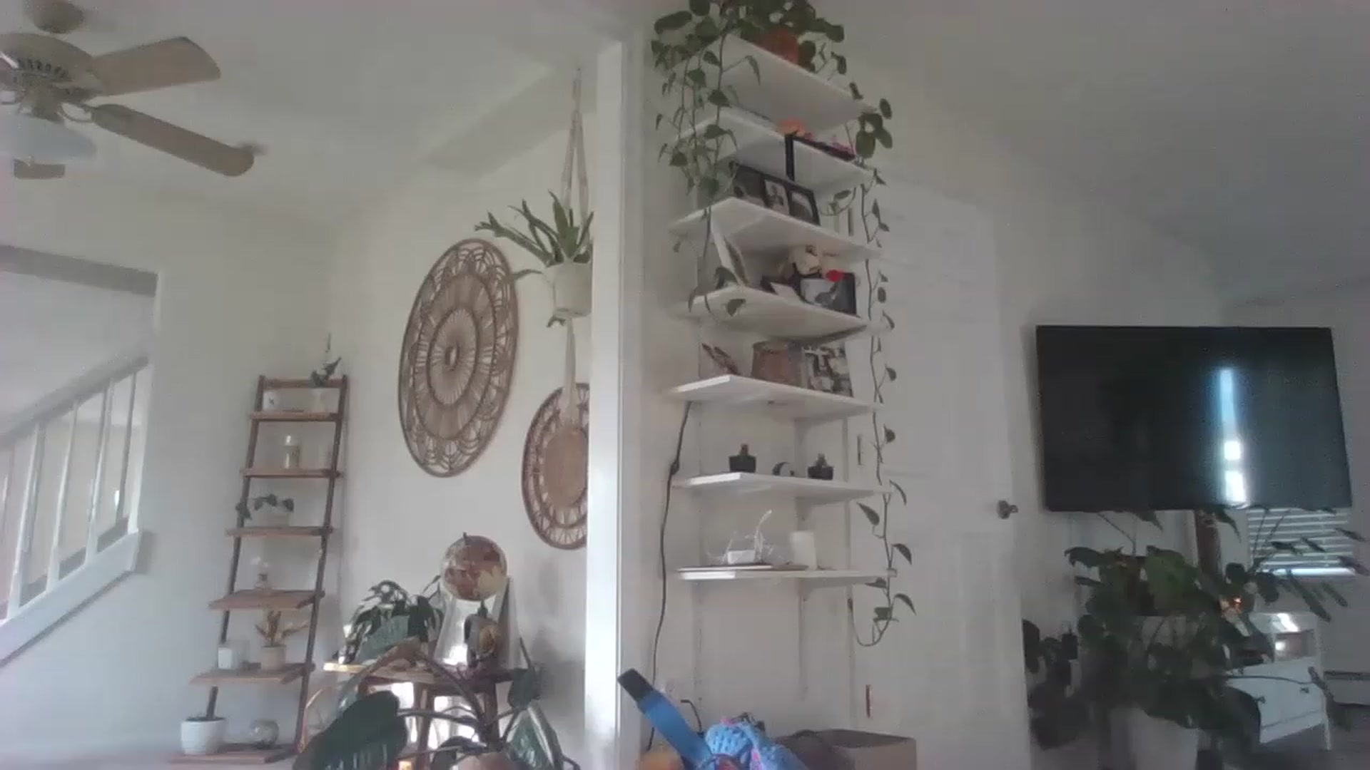Gallery image thumbnail from ellegirlie's myfreecams stream on, 07/29/2023, 23:43 image 8 of 20