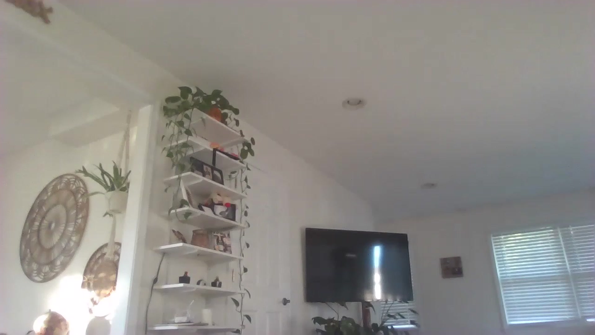 Gallery image thumbnail from ellegirlie's myfreecams stream on, 07/29/2023, 23:43 image 20 of 20