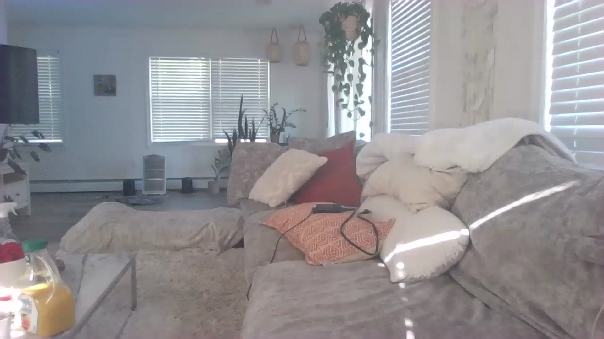 Gallery image thumbnail from ellegirlie's myfreecams stream on, 08/13/2023, 21:22 image 15 of 20