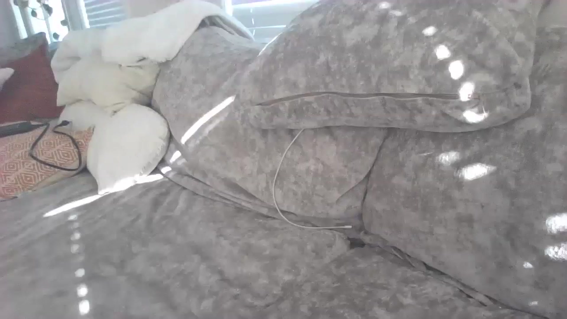 Gallery image thumbnail from ellegirlie's myfreecams stream on, 08/13/2023, 21:22 image 11 of 20