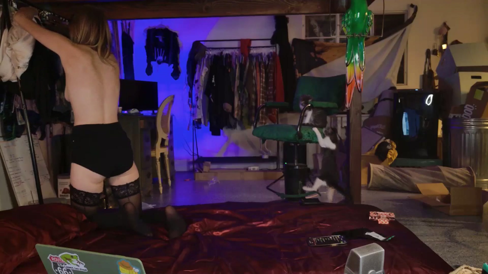 Gallery image thumbnail from ellispierce's myfreecams stream on, 10/16/2025, 08:03 image 14 of 20