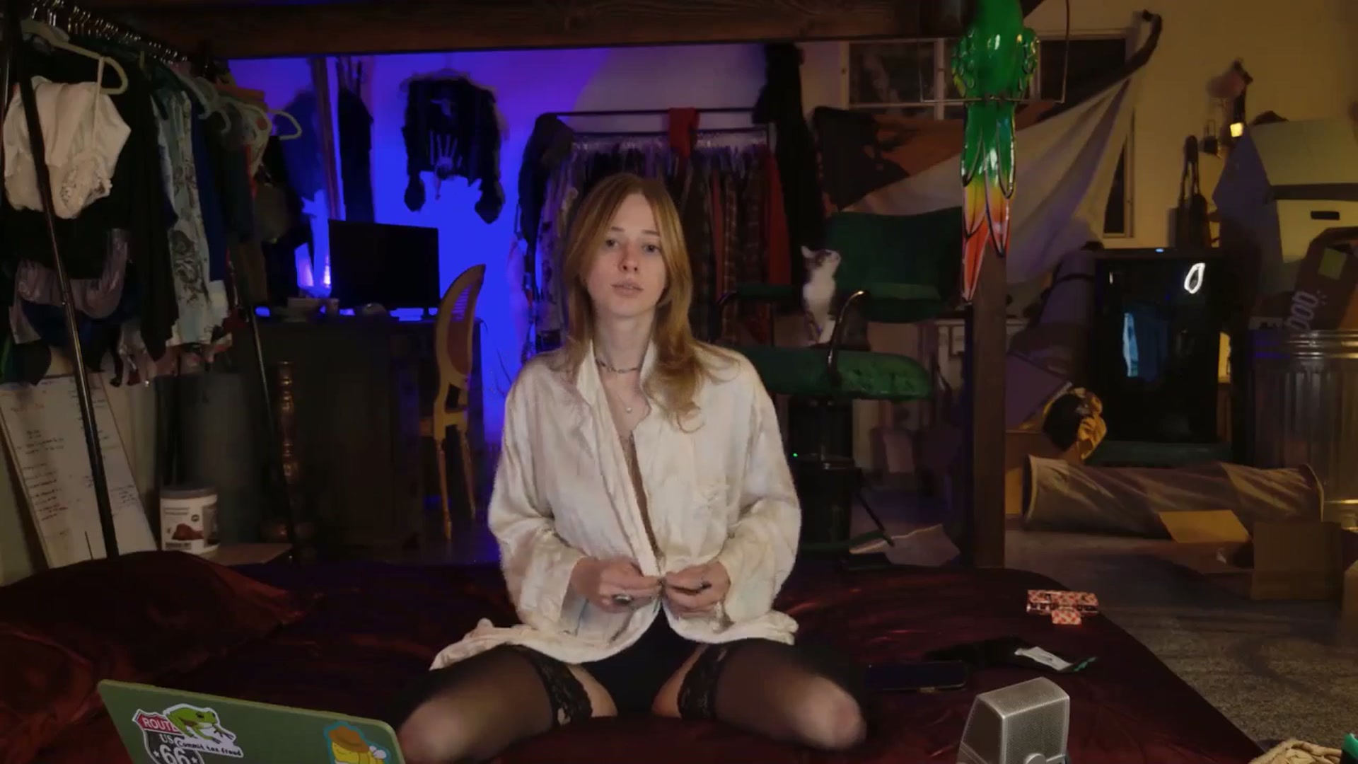 Gallery image thumbnail from ellispierce's myfreecams stream on, 10/16/2025, 08:03 image 15 of 20