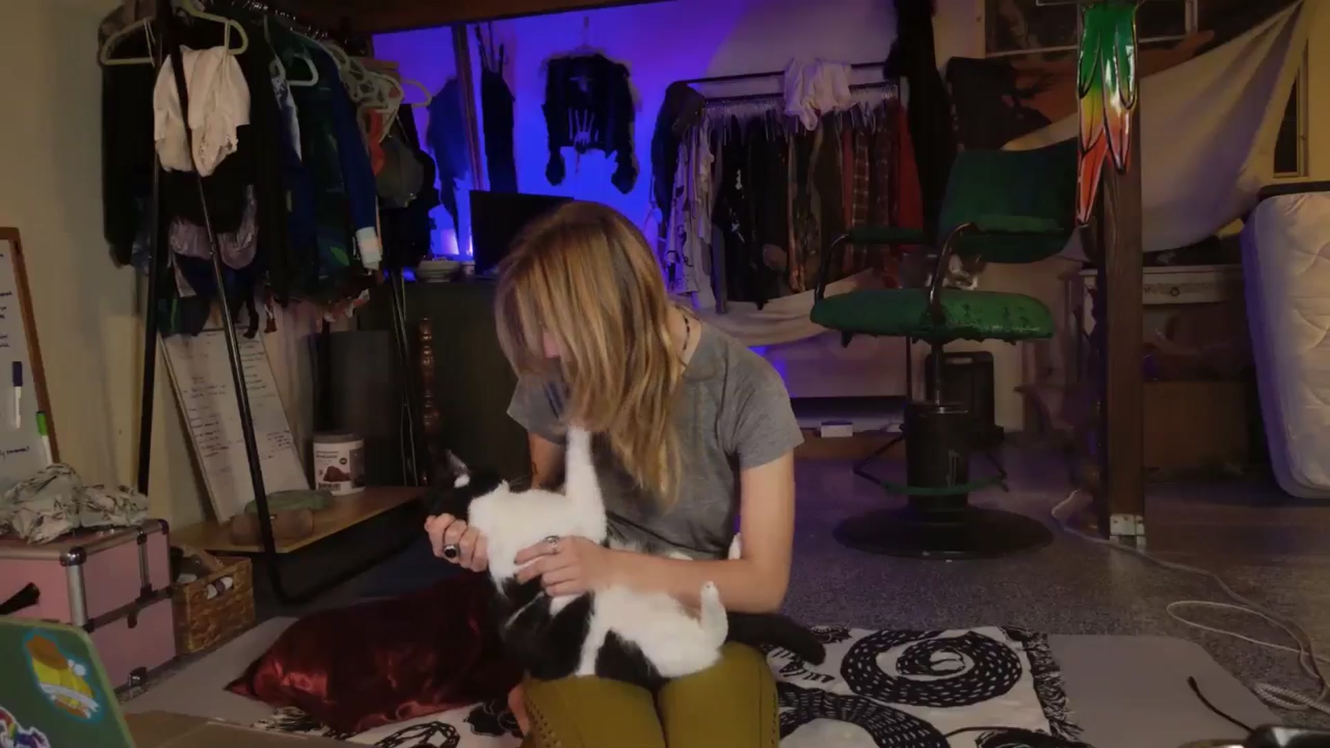 Gallery image thumbnail from ellispierce's myfreecams stream on, 10/19/2025, 09:33 image 3 of 20