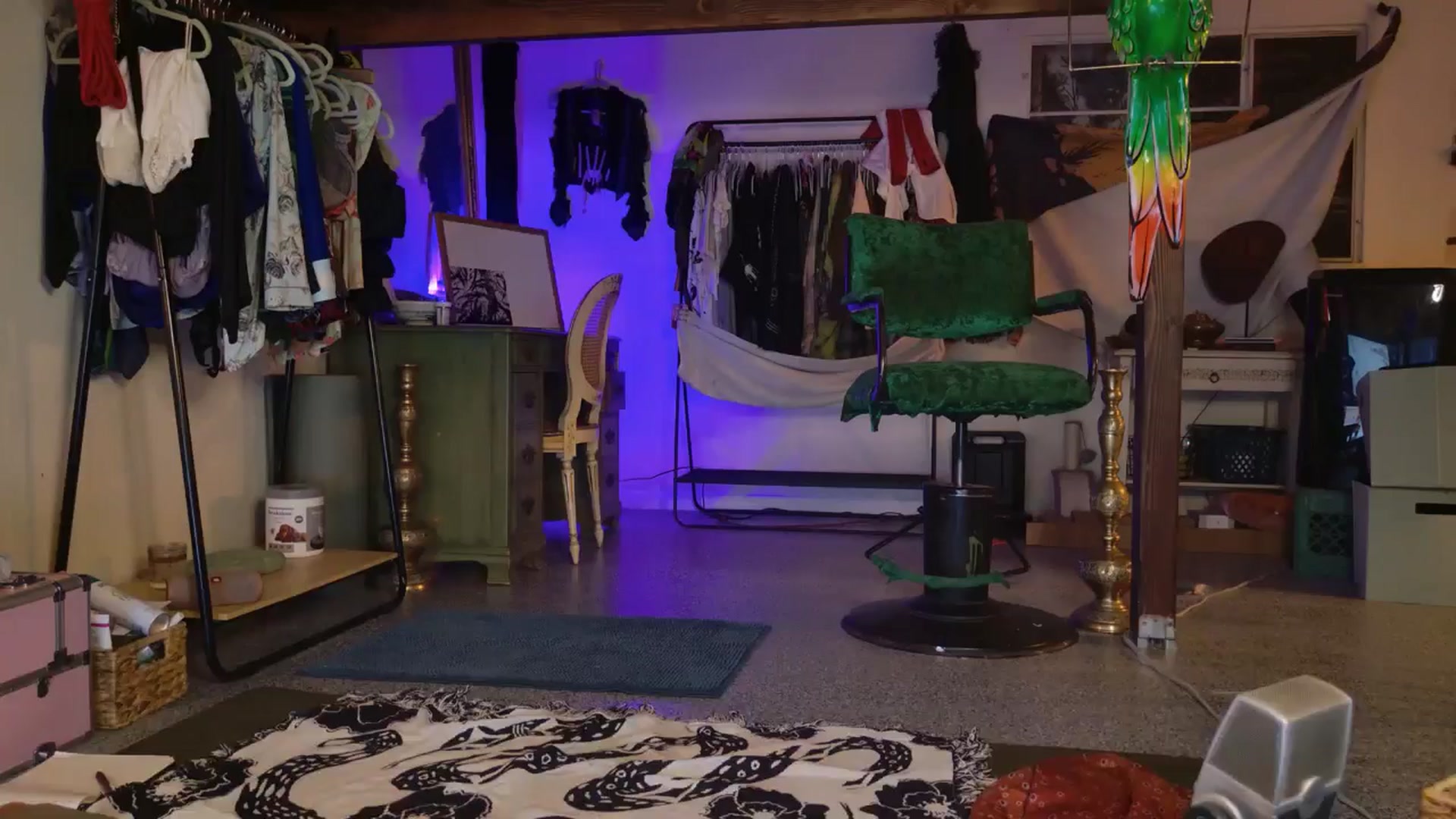 Gallery image thumbnail from ellispierce's myfreecams stream on, 10/24/2025, 08:55 image 13 of 20