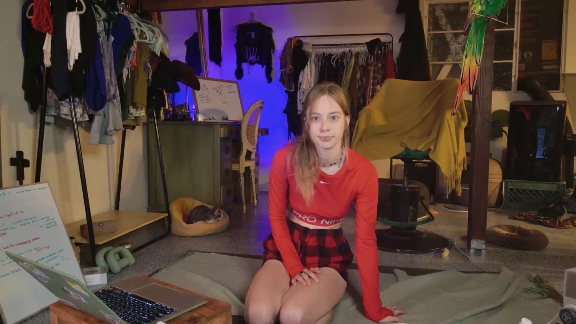 Gallery image thumbnail from ellispierce's myfreecams stream on, 11/03/2025, 06:14 image 19 of 20