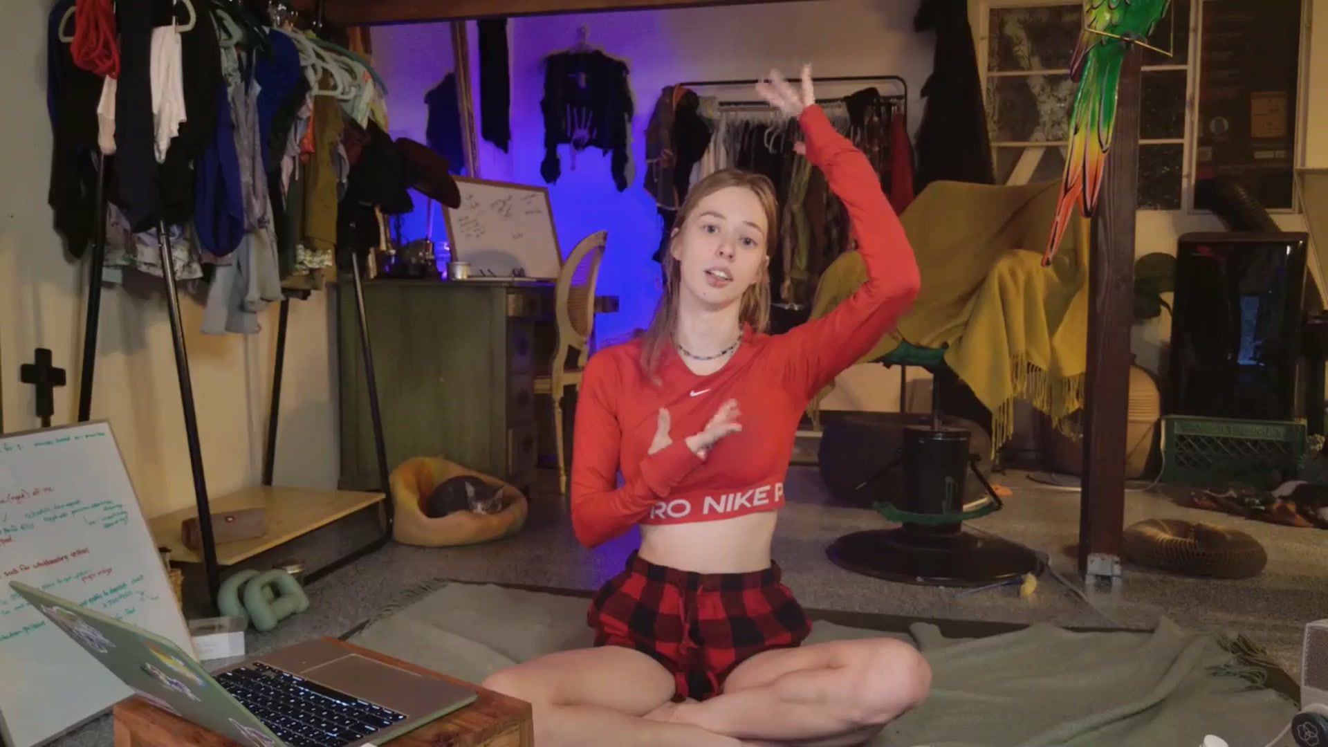 Gallery image thumbnail from ellispierce's myfreecams stream on, 11/03/2025, 06:14 image 17 of 20
