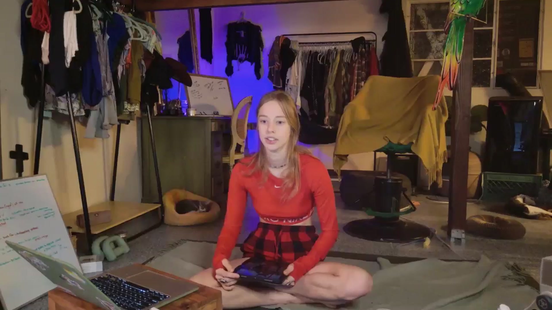 Gallery image thumbnail from ellispierce's myfreecams stream on, 11/03/2025, 06:14 image 20 of 20