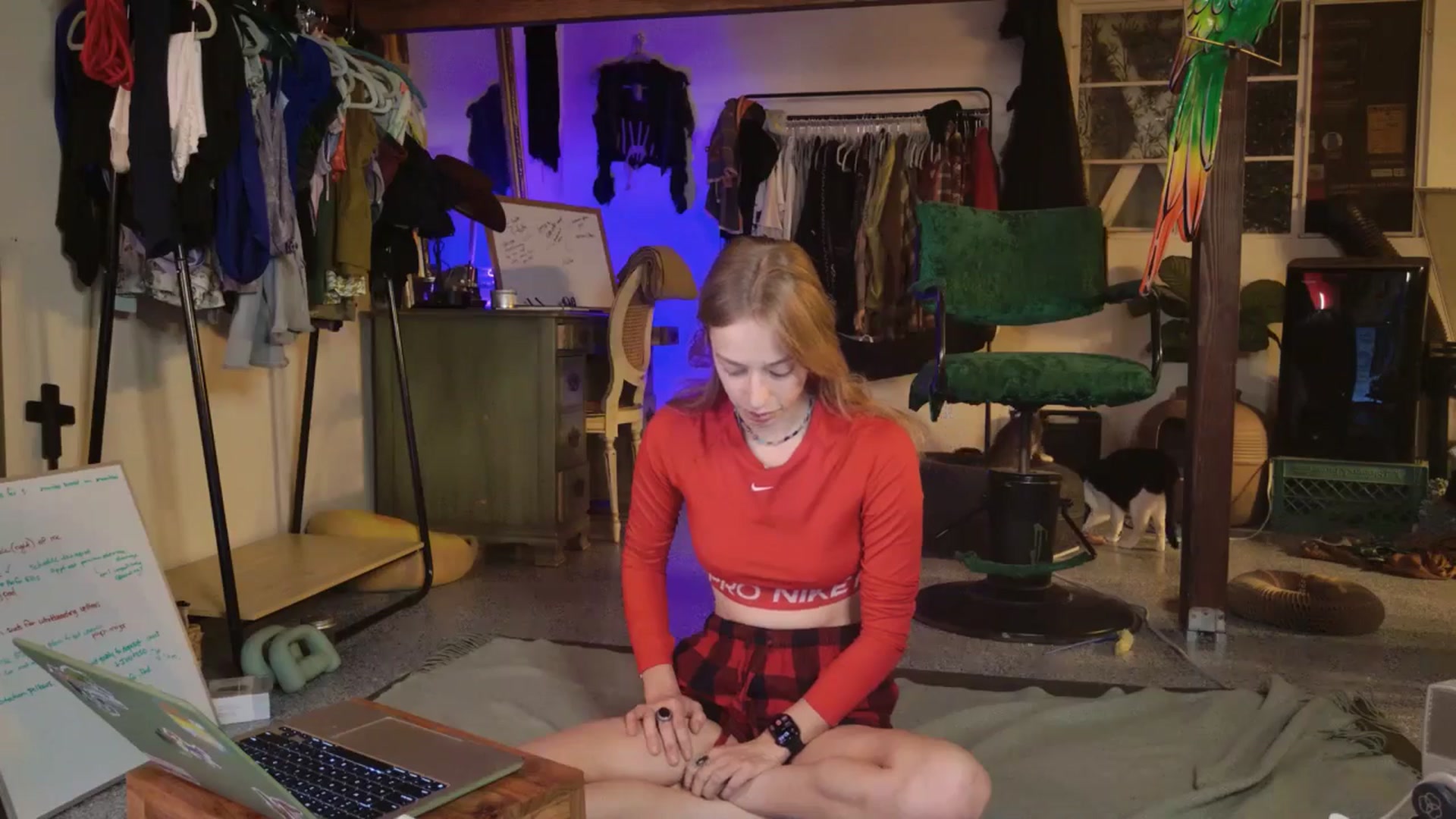 Gallery image thumbnail from ellispierce's myfreecams stream on, 11/03/2025, 06:14 image 4 of 20