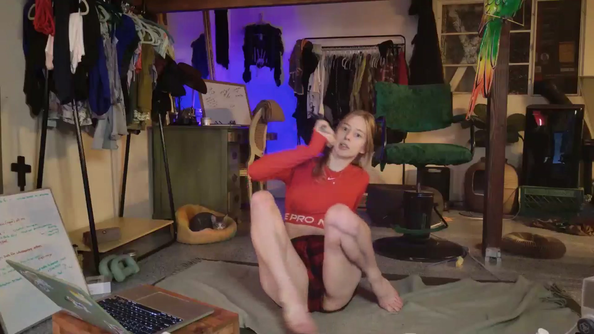 Gallery image thumbnail from ellispierce's myfreecams stream on, 11/03/2025, 06:14 image 12 of 20