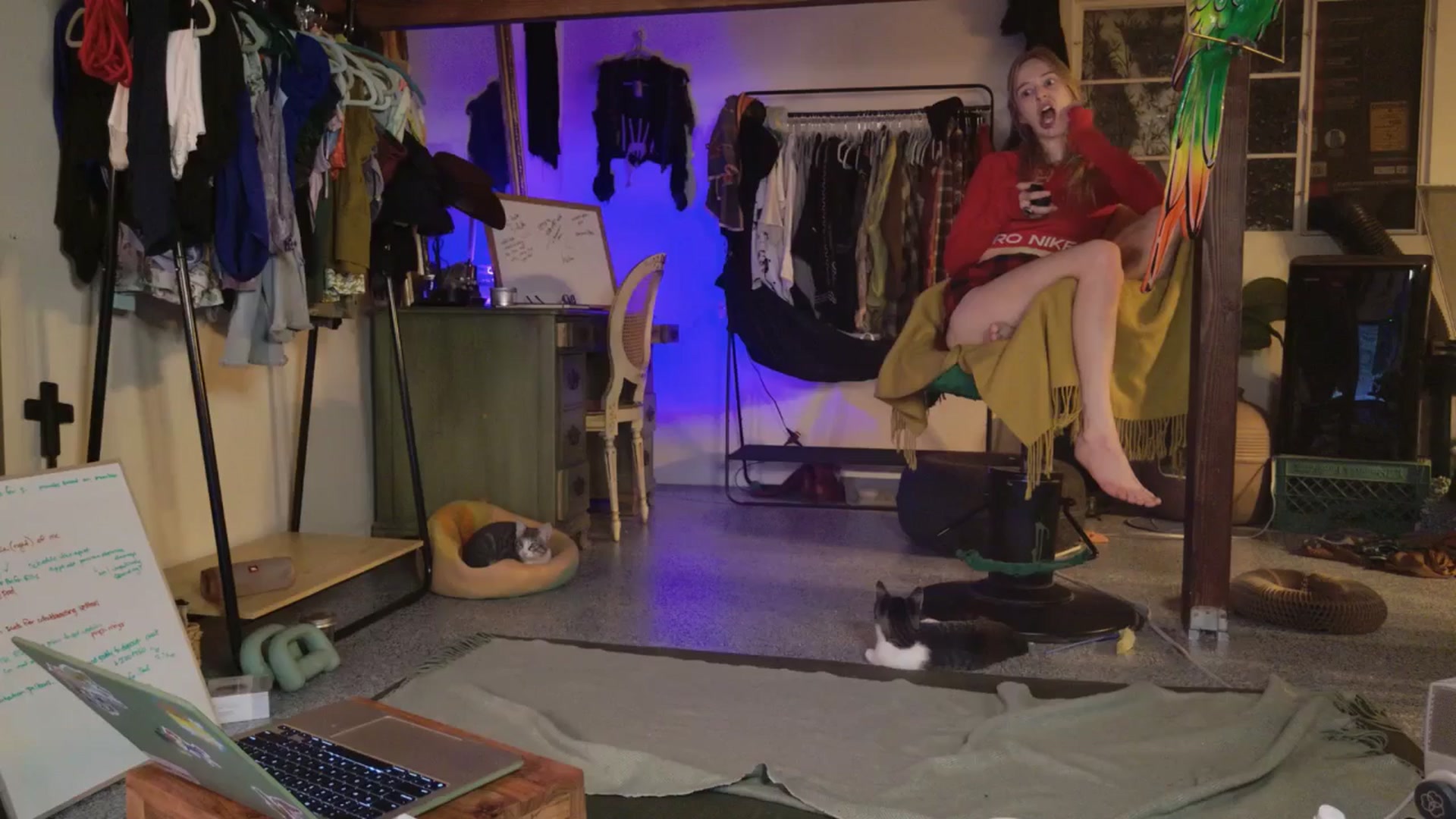 Gallery image thumbnail from ellispierce's myfreecams stream on, 11/03/2025, 06:14 image 15 of 20
