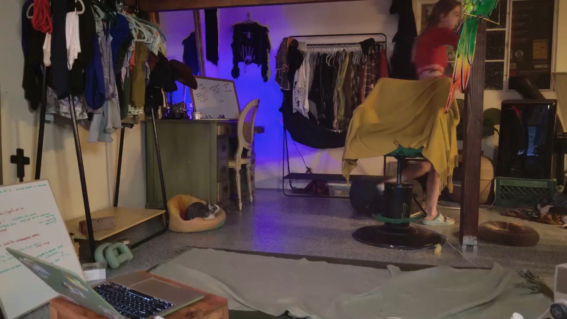 Gallery image thumbnail from ellispierce's myfreecams stream on, 11/03/2025, 06:14 image 18 of 20
