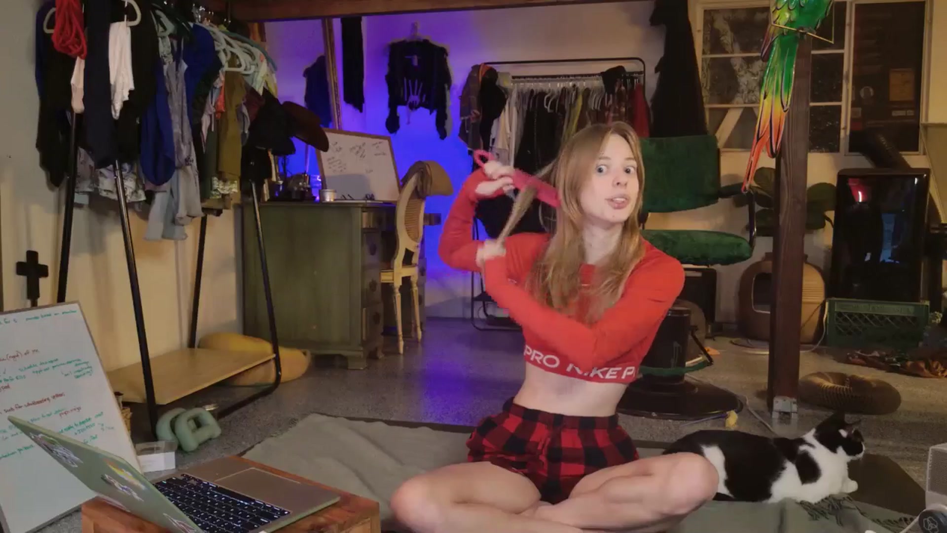 Gallery image thumbnail from ellispierce's myfreecams stream on, 11/03/2025, 06:14 image 2 of 20