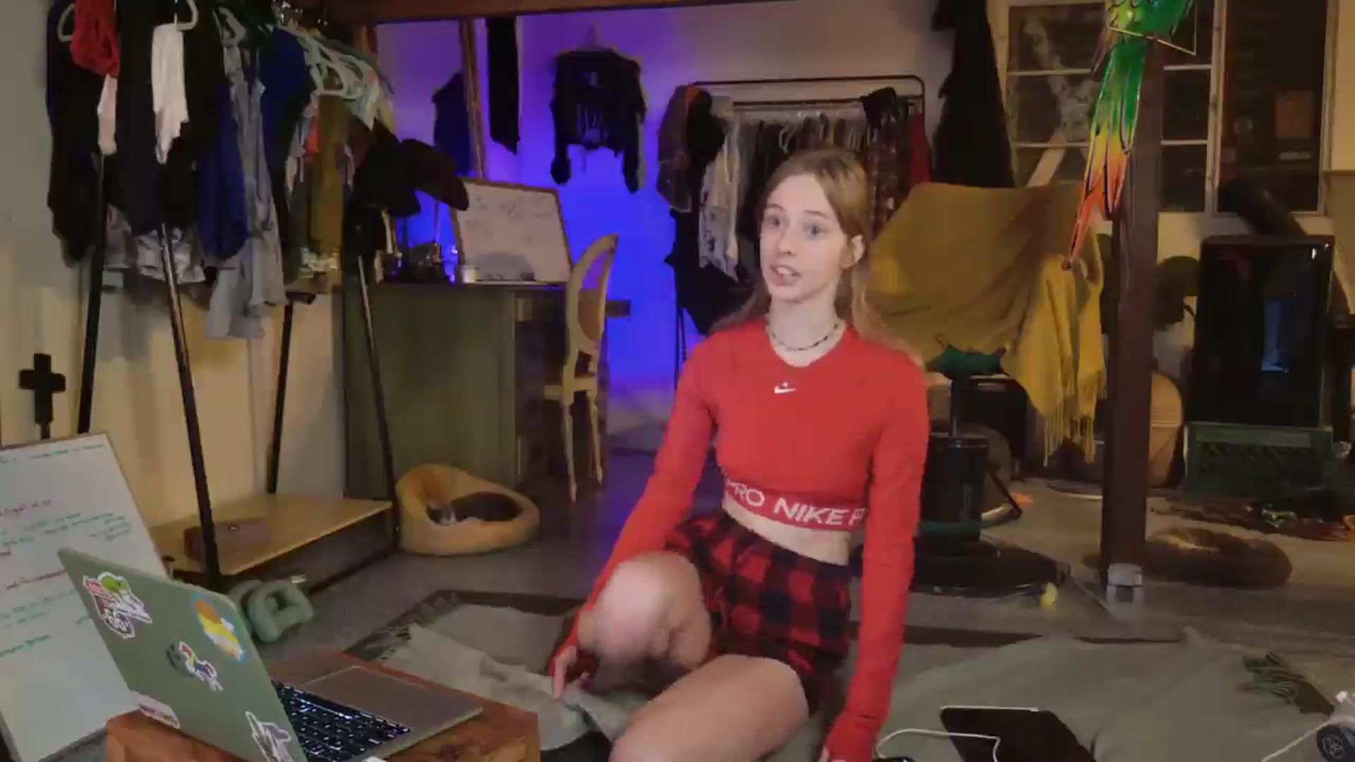 Gallery image thumbnail from ellispierce's myfreecams stream on, 11/03/2025, 07:31 image 20 of 20