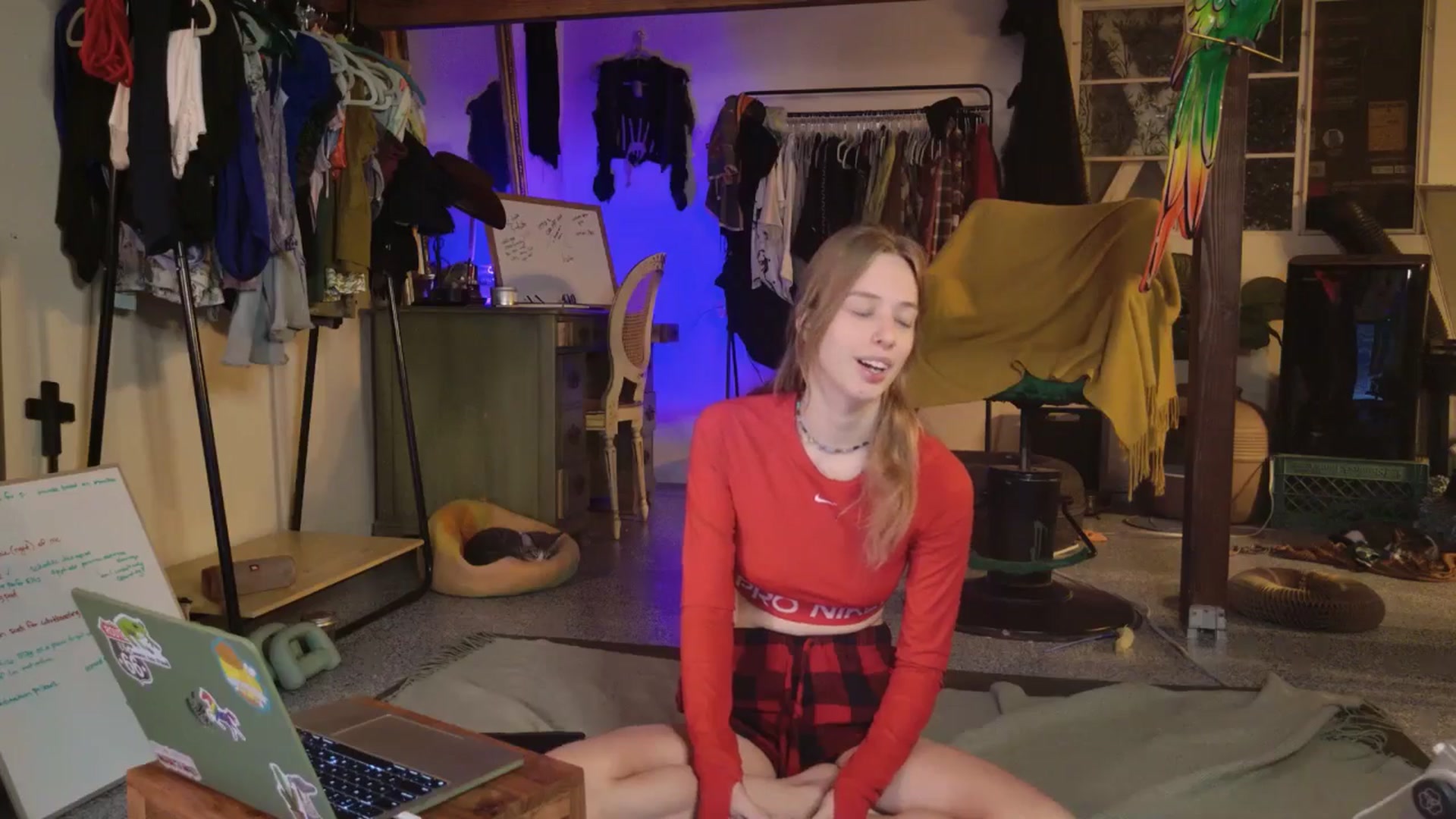 Gallery image thumbnail from ellispierce's myfreecams stream on, 11/03/2025, 07:31 image 6 of 20