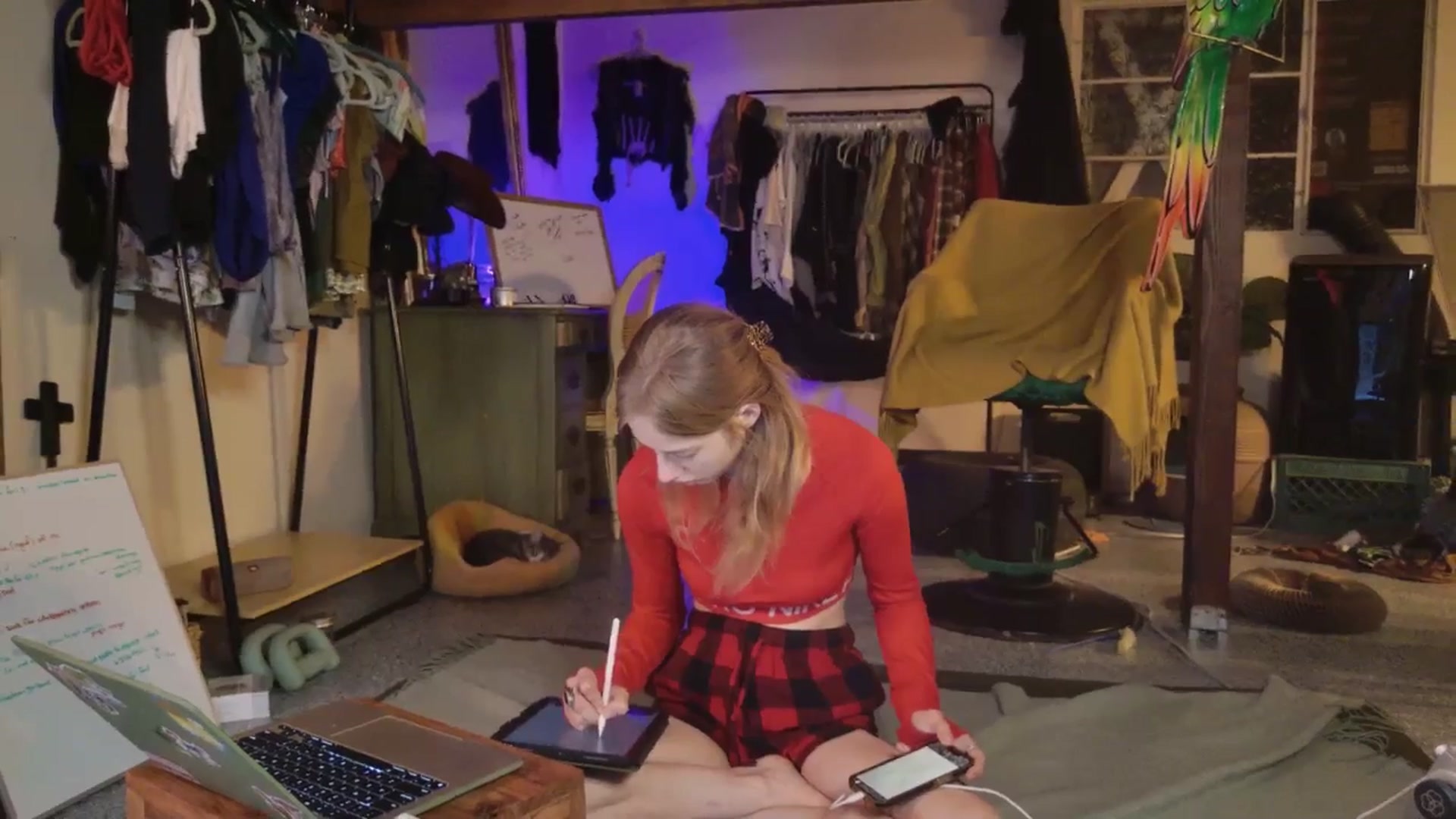 Gallery image thumbnail from ellispierce's myfreecams stream on, 11/03/2025, 07:31 image 3 of 20