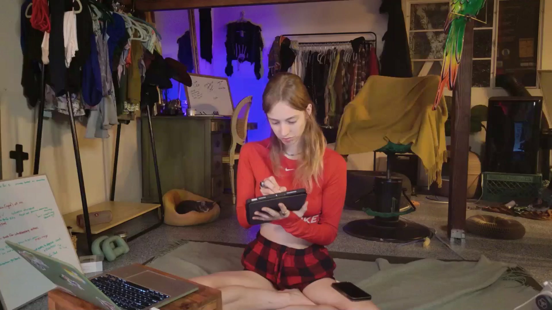 Gallery image thumbnail from ellispierce's myfreecams stream on, 11/03/2025, 07:31 image 2 of 20