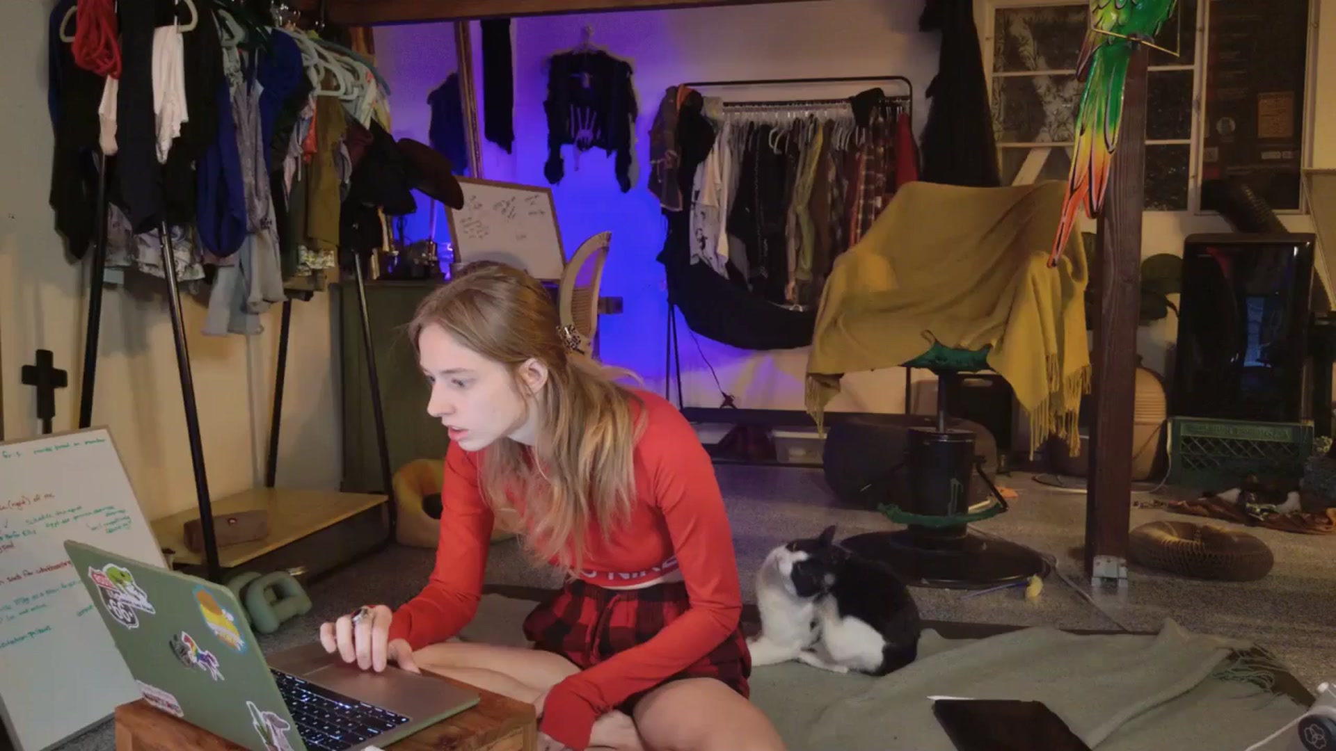 Gallery image thumbnail from ellispierce's myfreecams stream on, 11/03/2025, 07:31 image 12 of 20