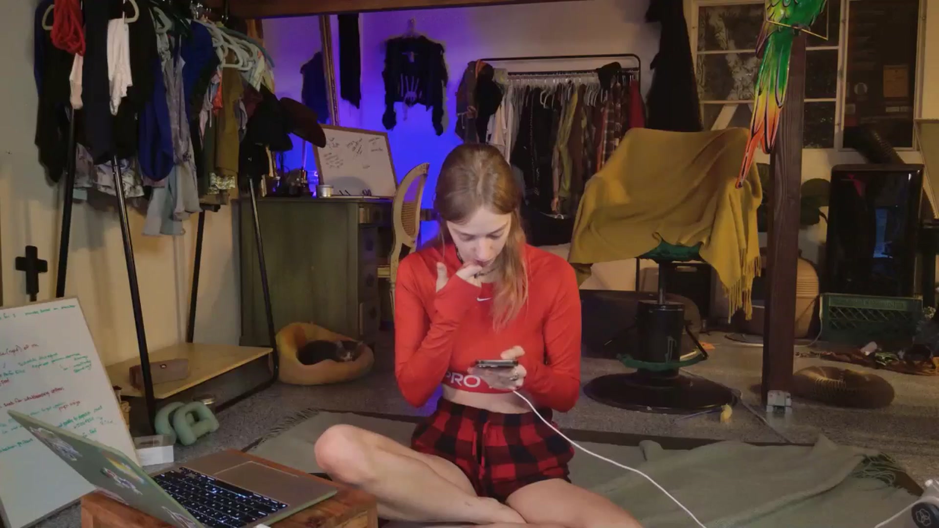 Gallery image thumbnail from ellispierce's myfreecams stream on, 11/03/2025, 07:31 image 4 of 20