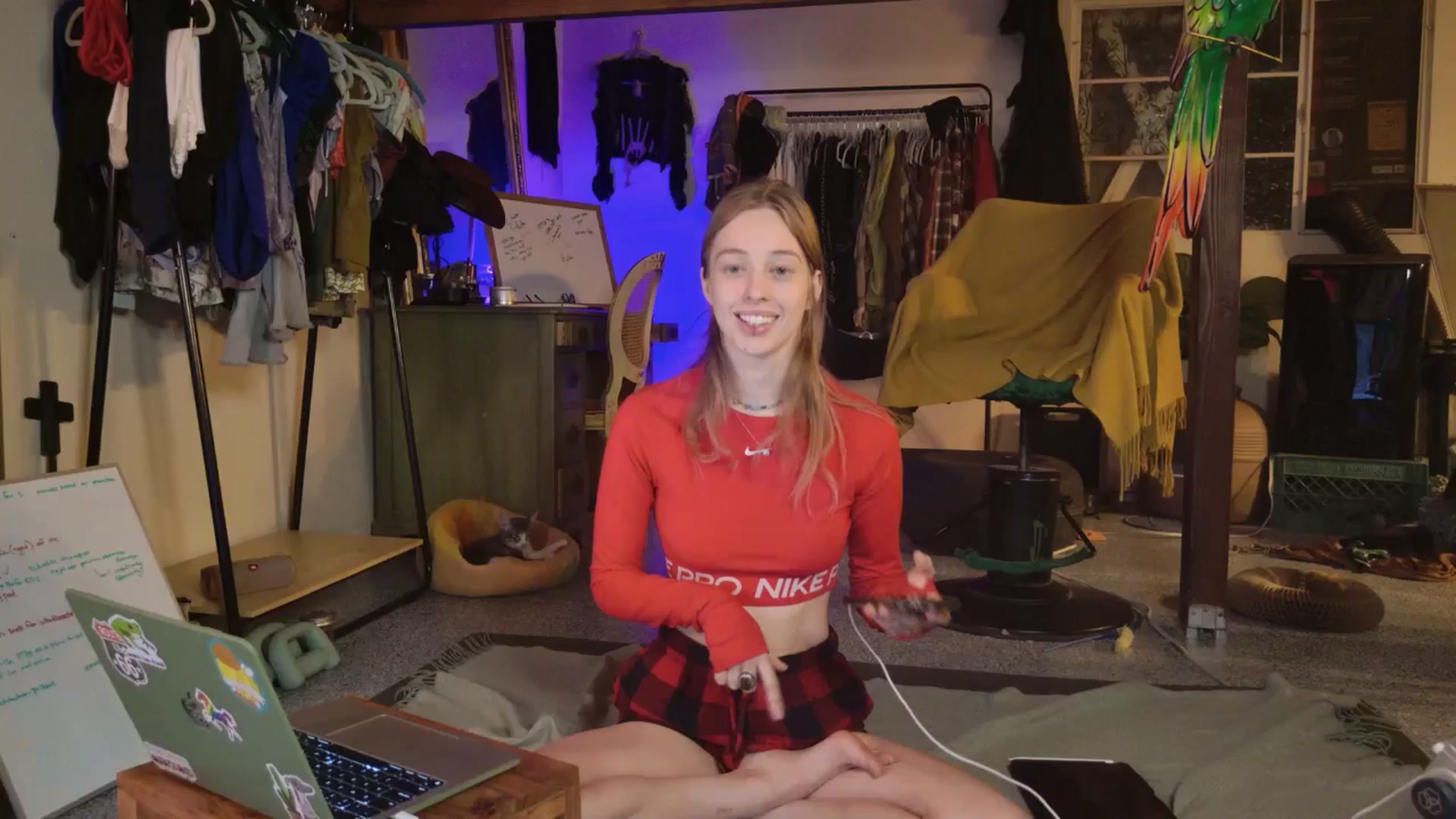 Gallery image thumbnail from ellispierce's myfreecams stream on, 11/03/2025, 07:31 image 17 of 20