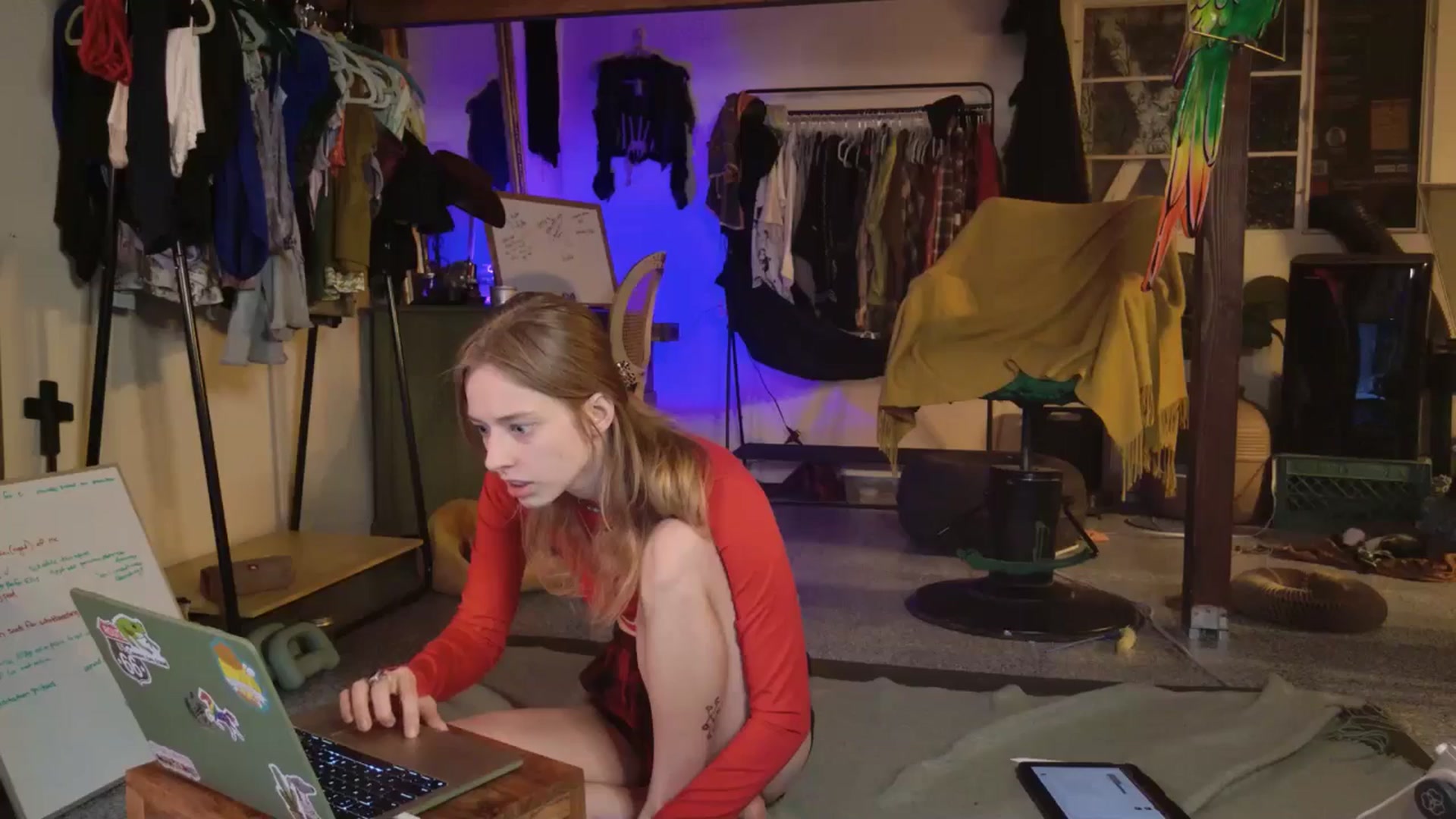 Gallery image thumbnail from ellispierce's myfreecams stream on, 11/03/2025, 07:31 image 11 of 20