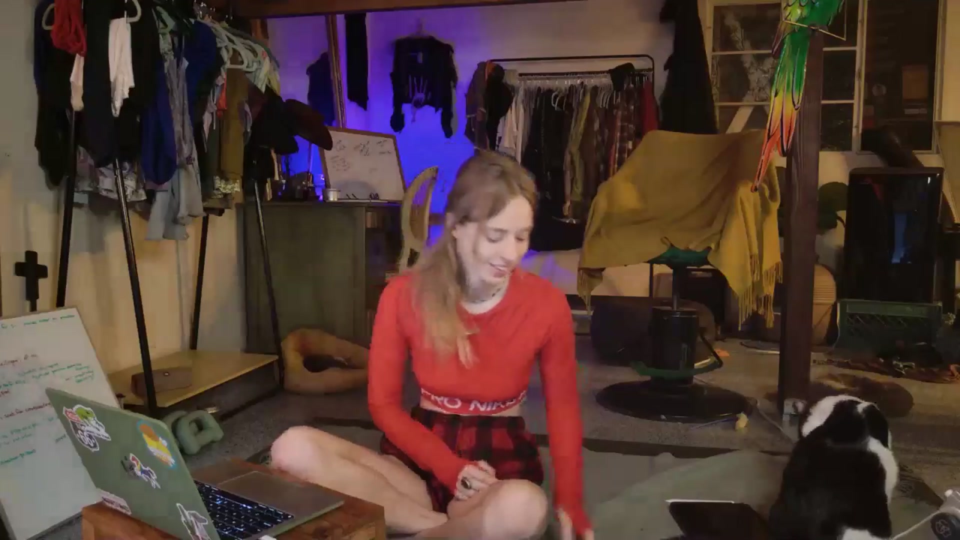 Gallery image thumbnail from ellispierce's myfreecams stream on, 11/03/2025, 07:31 image 13 of 20