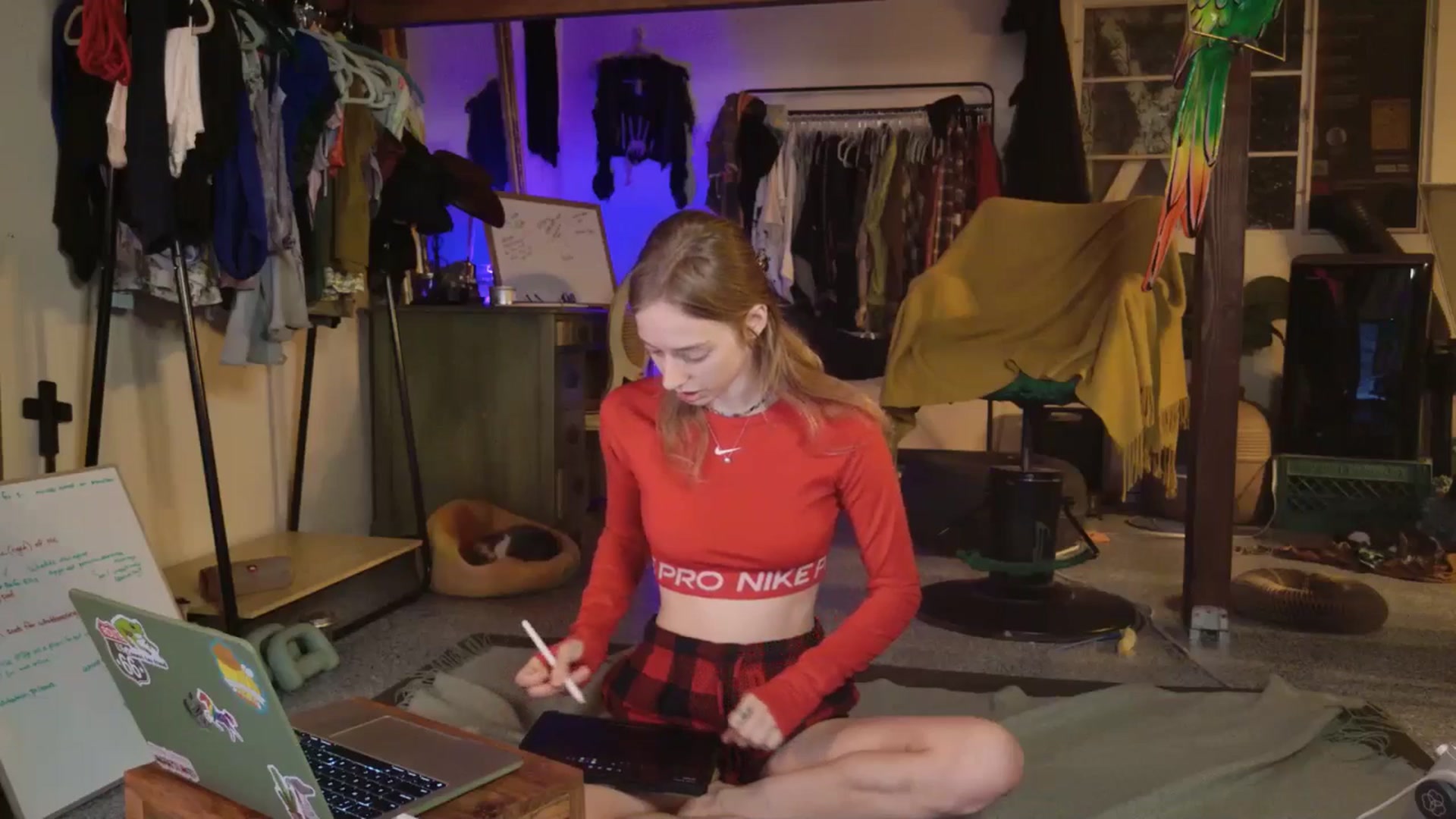 Gallery image thumbnail from ellispierce's myfreecams stream on, 11/03/2025, 07:31 image 9 of 20