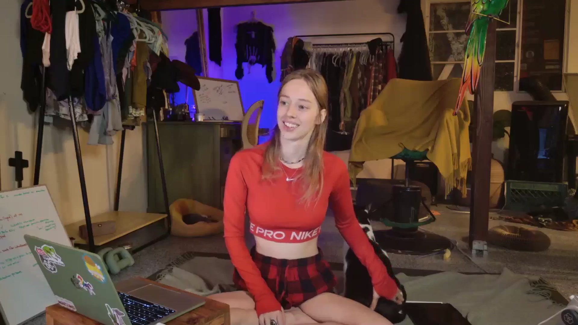 Gallery image thumbnail from ellispierce's myfreecams stream on, 11/03/2025, 07:31 image 14 of 20