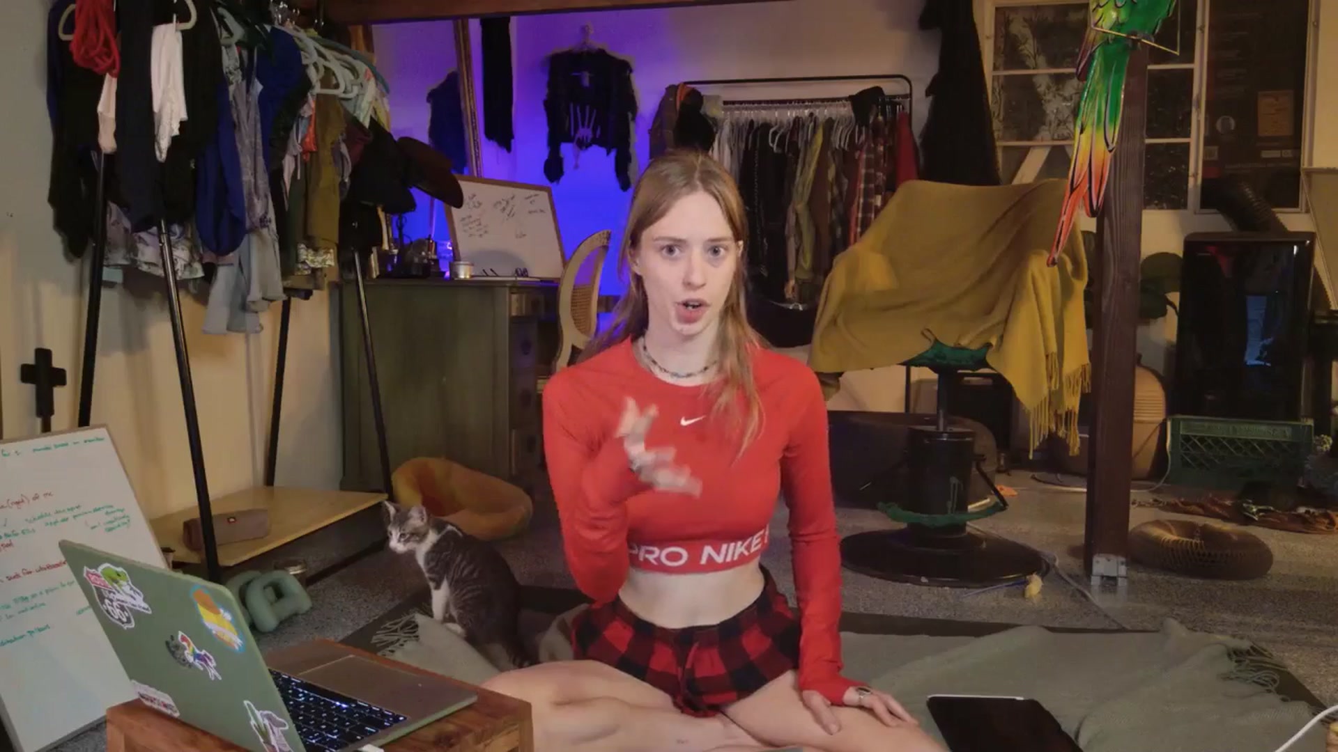 Gallery image thumbnail from ellispierce's myfreecams stream on, 11/03/2025, 08:39 image 12 of 20