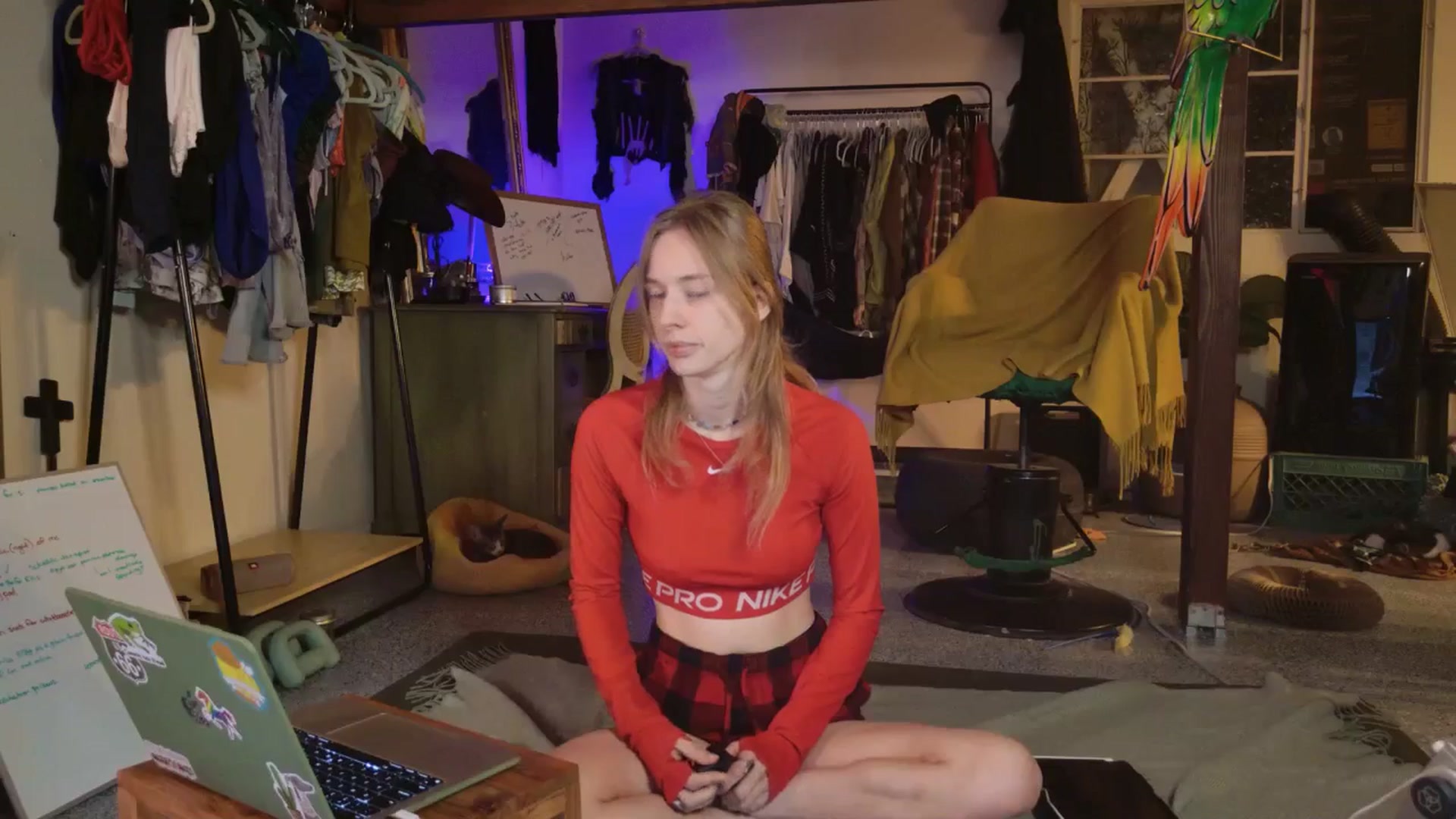 Gallery image thumbnail from ellispierce's myfreecams stream on, 11/03/2025, 08:39 image 3 of 20